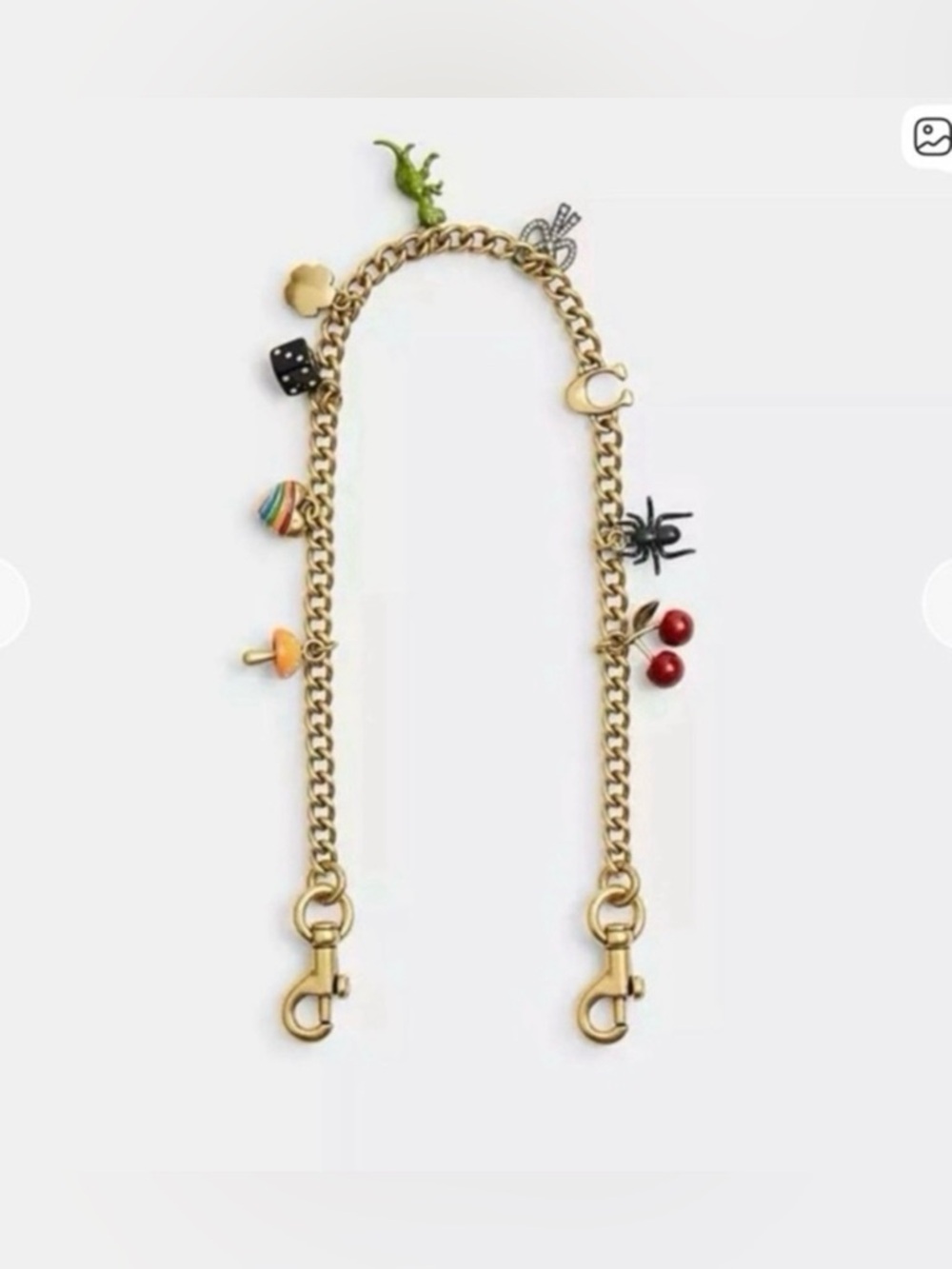 Coach Gold-Tone Chain Charm Strap with Multicolor Dangling Charms